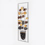 Wallity Alder - 077 Escultura de pared de metal multicolor
